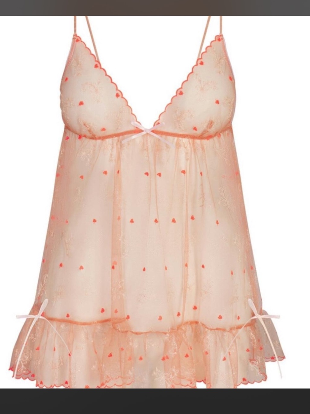 NWT skims embroidered tulle slip dress and matching micro tanga set.
